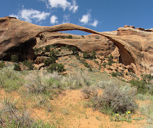 landscape_arch