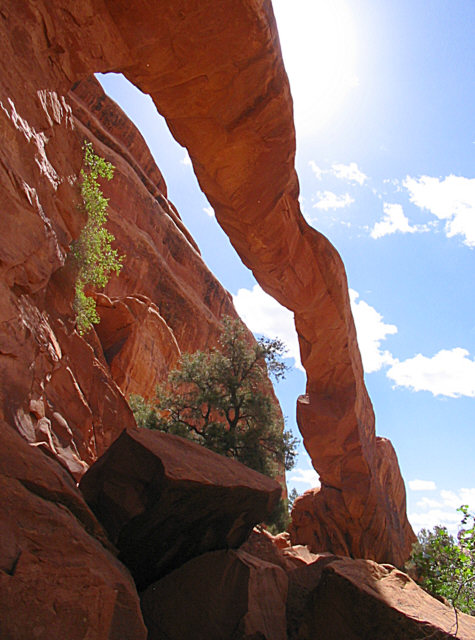 wall_arch